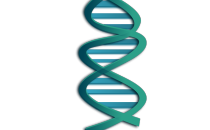 Artist's impression of the DNA double helix structure