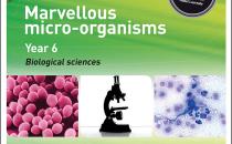 Marvellous micro-organisms cover