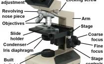 Picture of a labelled microscope