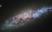 A photo of a galaxy shrouded in dust