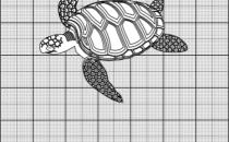 A turtle superimposed on a graph