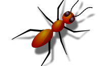 Artist's impression of an ant