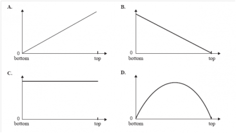 Conservation of energy worksheet #2