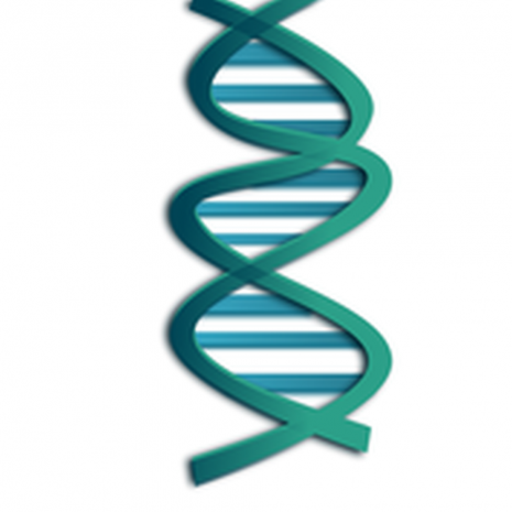 Genetics resource What is inheritance?