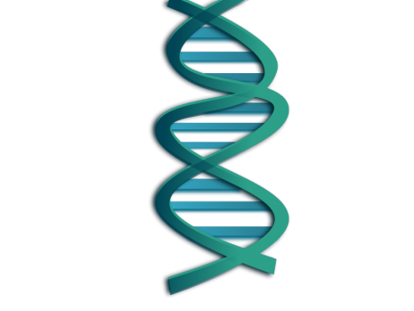 Stickleback Evolution Virtual Lab