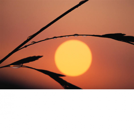 The distance to the Sun Distance to the sun