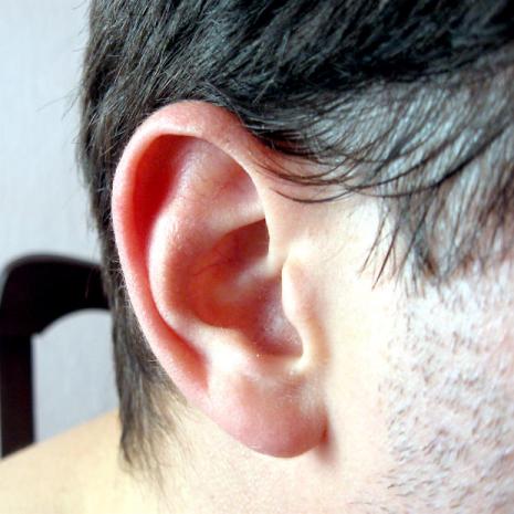 How old are your ears? 