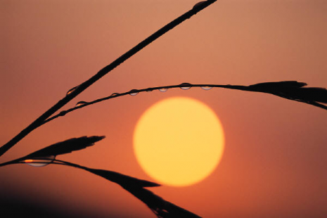 How far away from the Earth is the Sun Distance to the sun