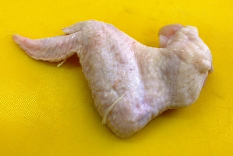SOP: Performing a chicken wing dissection