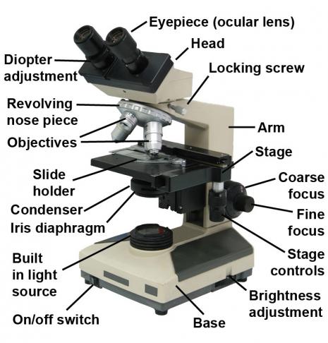 AIS: Microscope choices for schools