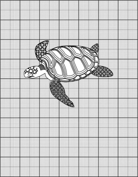 Data about turtles that can be used to demonstrate adaptation Turtle adaptations