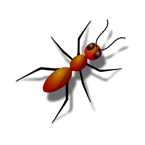 An ant is an insect Invertebrate Key