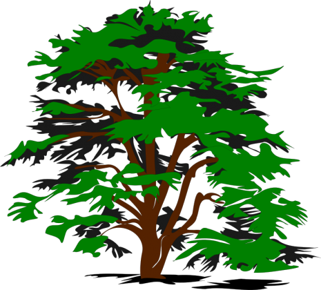 Biodiversity at home Backyard Explorers - User Guide
