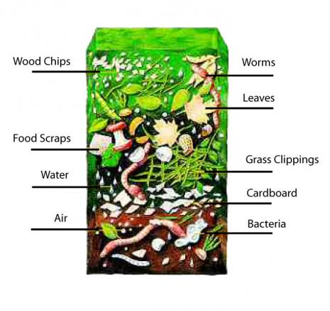 Image courtesy of http://wesustainability.blogspot.co.nz/2011/02/composting-made-easy.html Learning to be Waste Wise - Compost