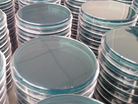 SOP: Preparing agar plates
