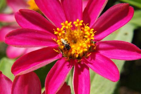 Ecosystems depend on the interaction of the flora and fauna within them Ecosystems - ScienceWeb