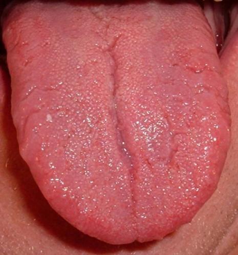 Tongues are our taste organs Tasty science - Year 8 CLE