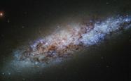 A photo of a galaxy shrouded in dust