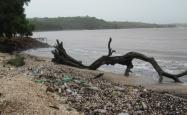 Plastic pollution on beaches