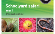 Schoolyard Safari Cover