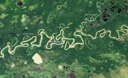 Satellite image of the Amazon floodplain